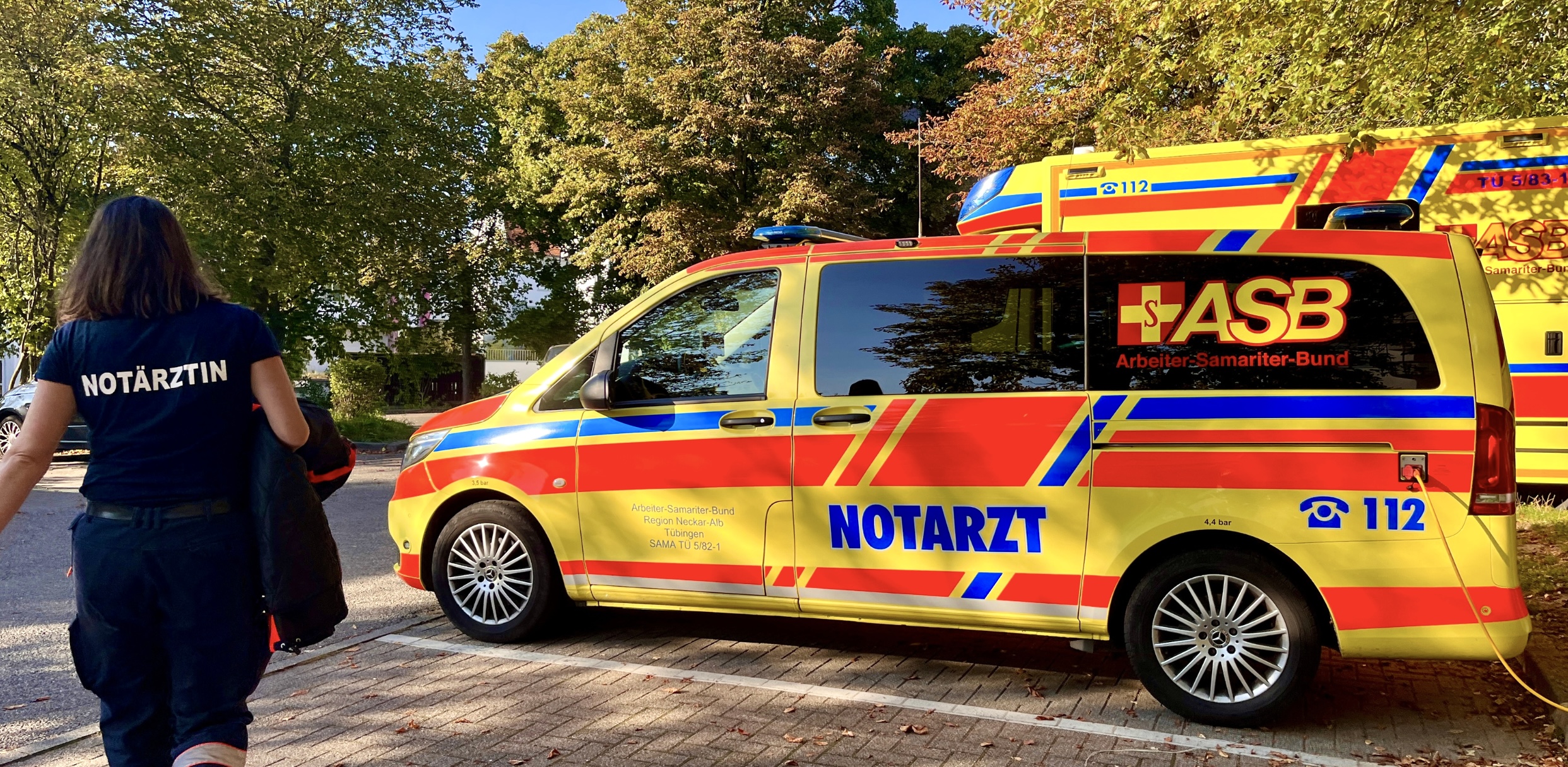 Headliner NA NEF.jpg