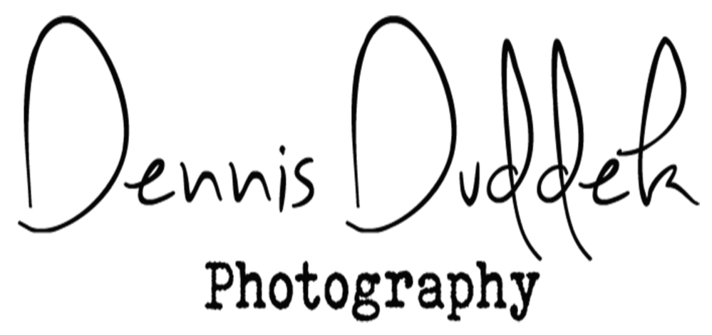 Dennis Logo Angepasst für Webseite.png